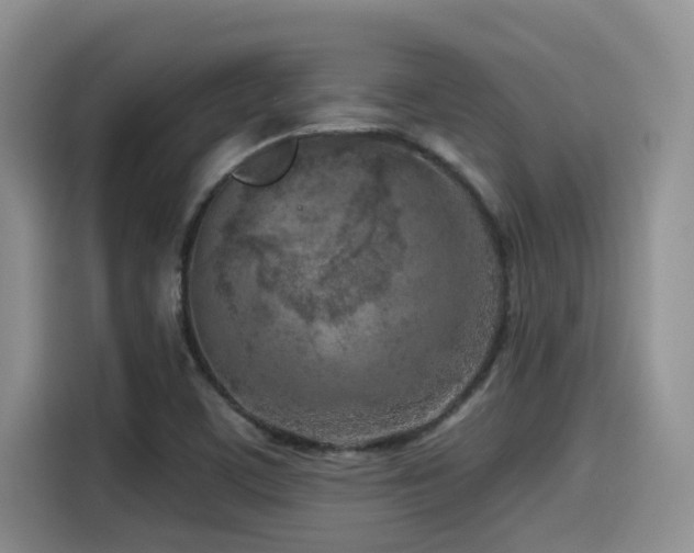 X0000115551459200911061523