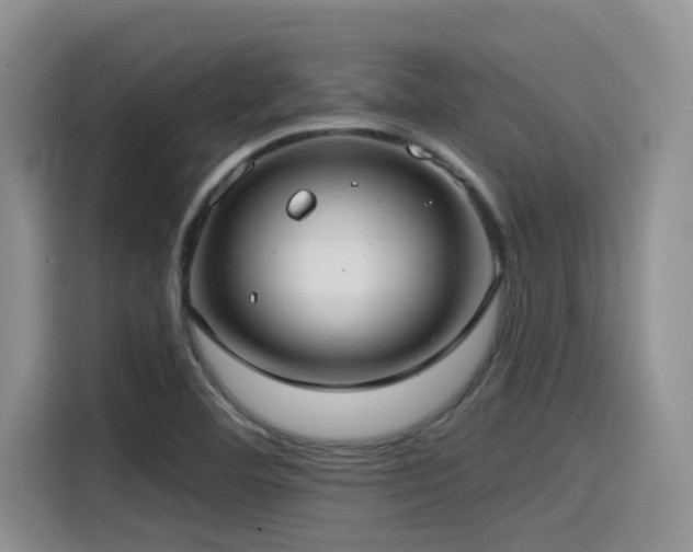 X0000115551460200911061523