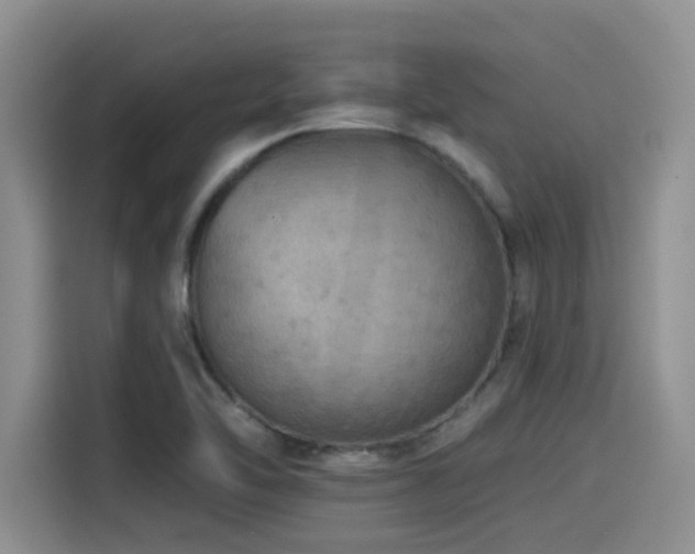 X0000115551462200911061523