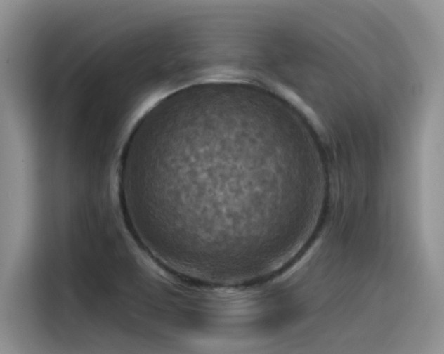 X0000115551463200911061523