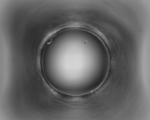 X0000115551464200911061523