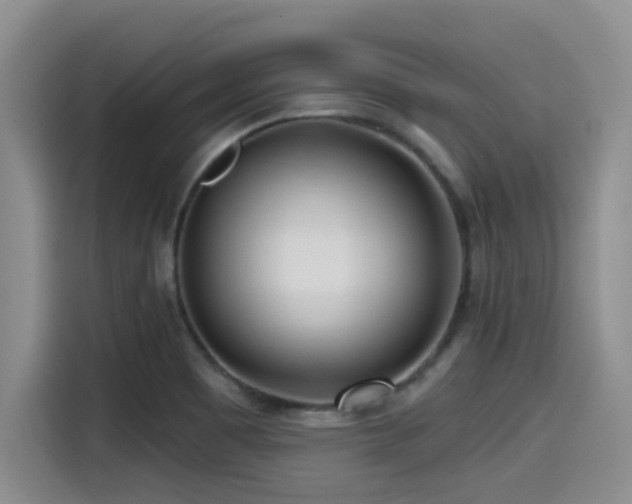 X0000115551465200911061523