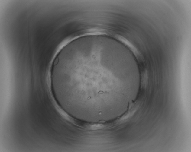 X0000115551467200911061523