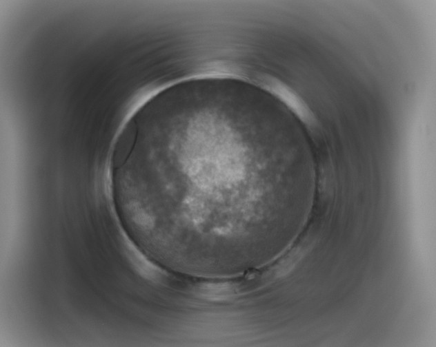 X0000115551468200911061523