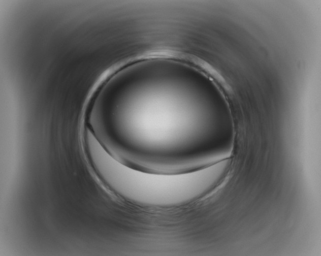 X0000115551469200911061523