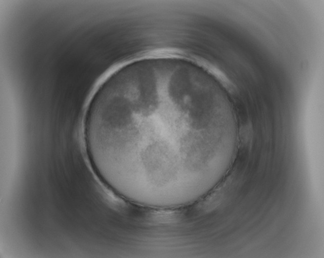 X0000115551470200911061523