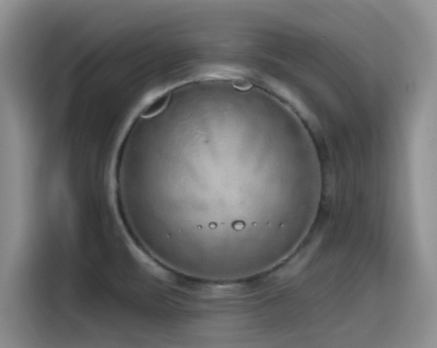 X0000115551471200911061523