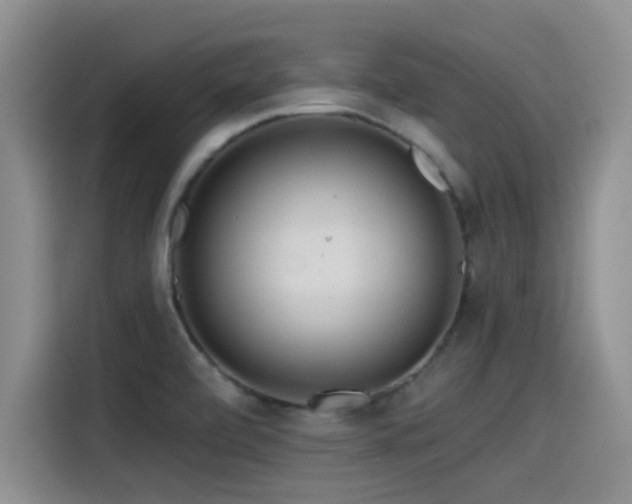 X0000115551472200911061523