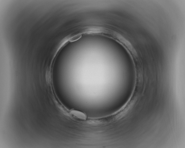 X0000115551473200911061523