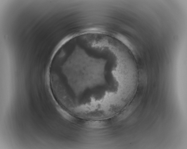 X0000115551474200911061523