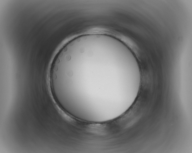 X0000115551478200911061523