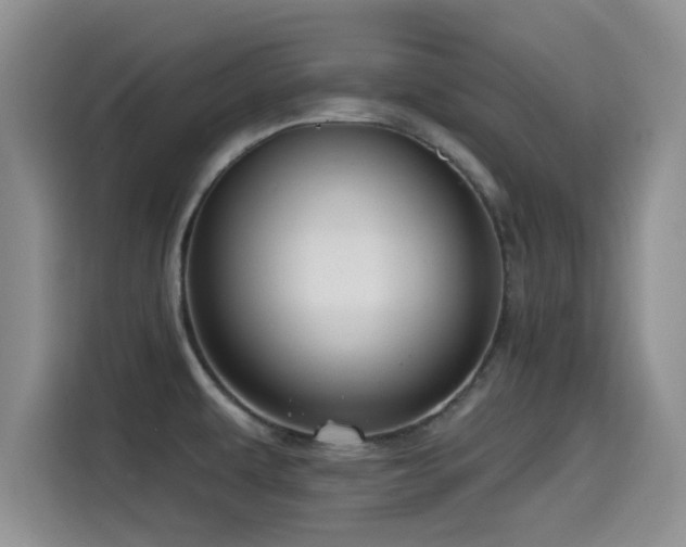 X0000115551479200911061523