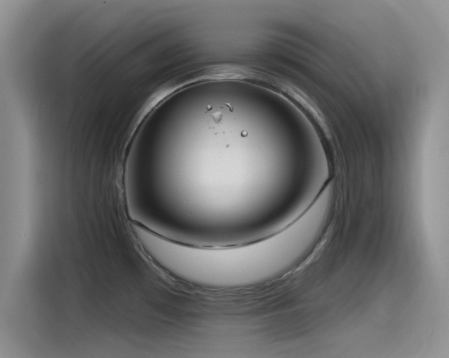 X0000115551481200911061523