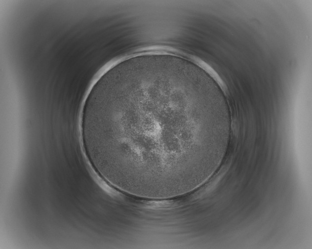 X0000115551482200911061523
