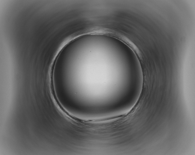 X0000115551483200911061523