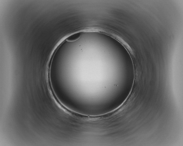 X0000115551484200911061523