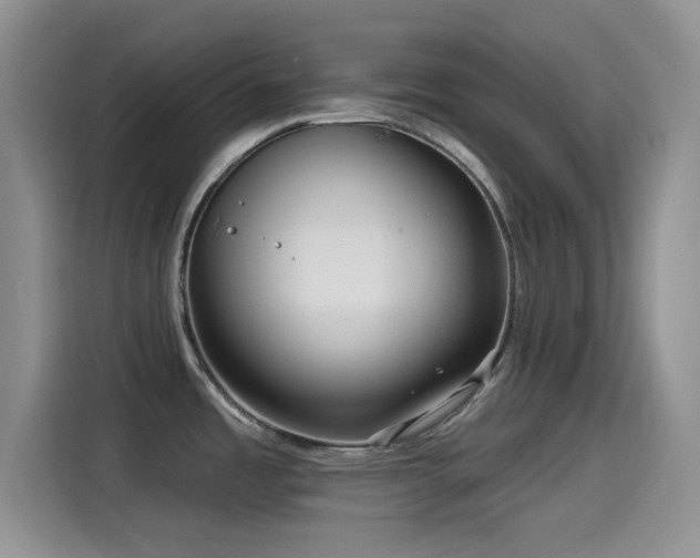 X0000115551485200911061523