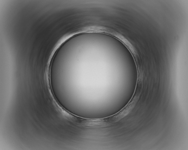 X0000115551486200911061523