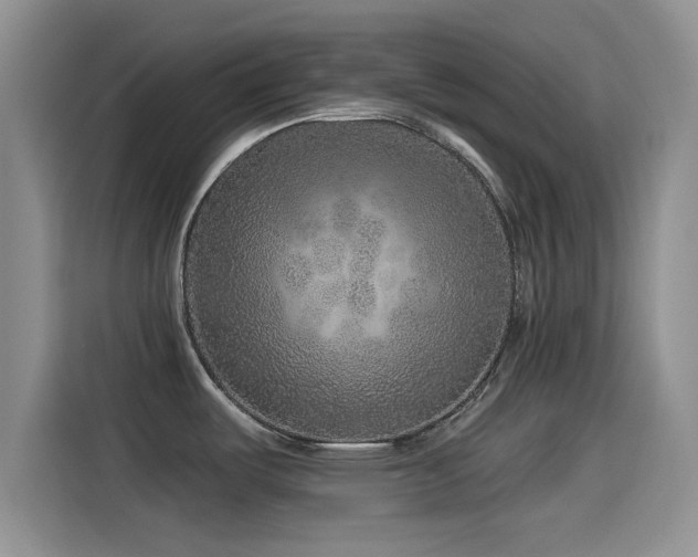 X0000115551487200911061523