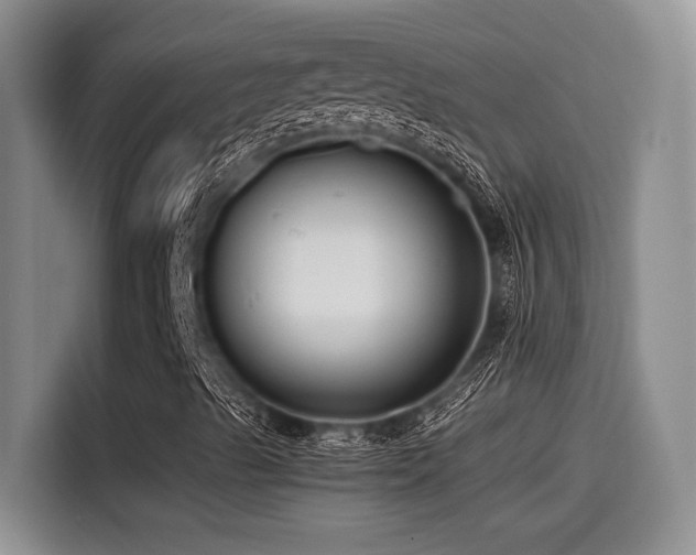 X0000115551489200911061522