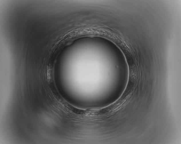 X0000115551490200911061522