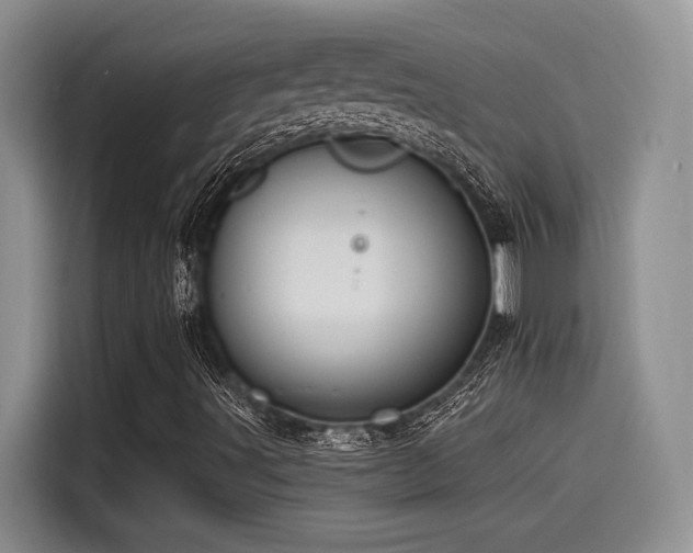 X0000115551491200911061522
