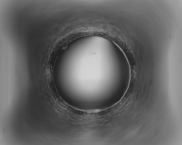 X0000115551493200911061522