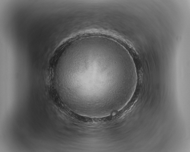 X0000115551494200911061522