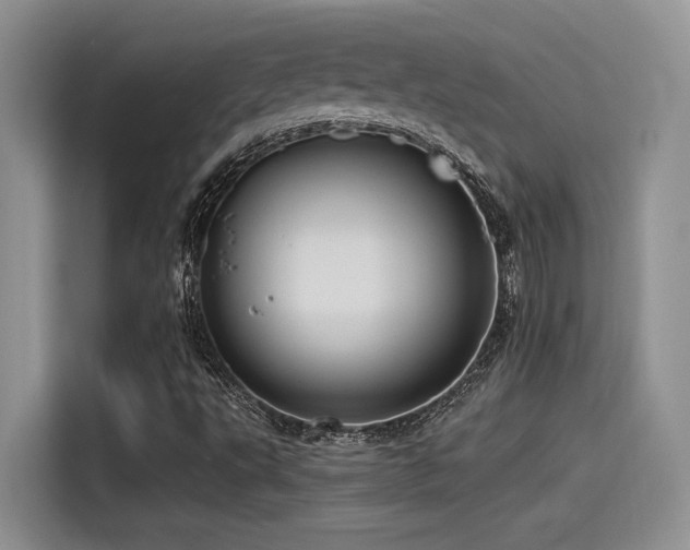 X0000115551495200911061522