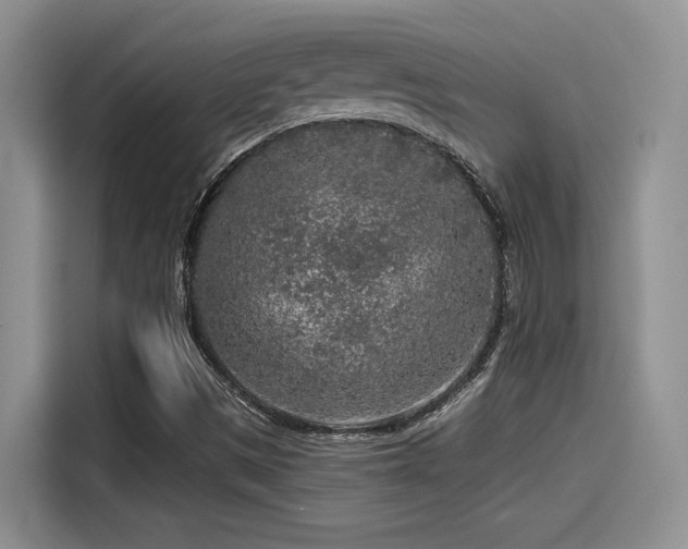 X0000115551497200911061522