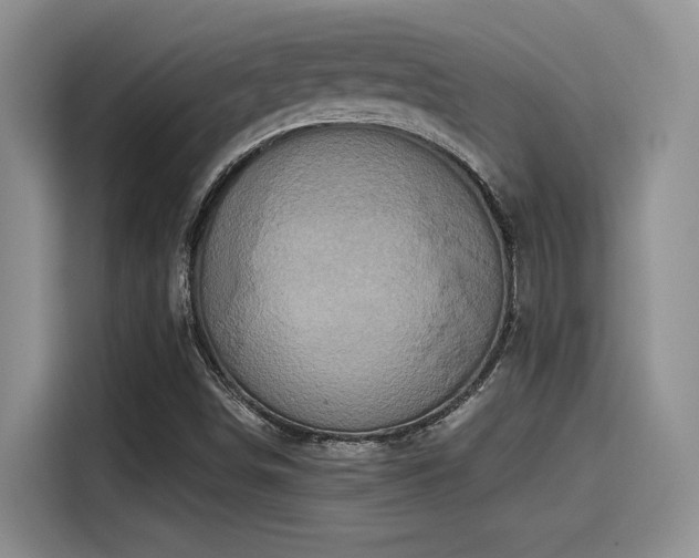 X0000115551498200911061522