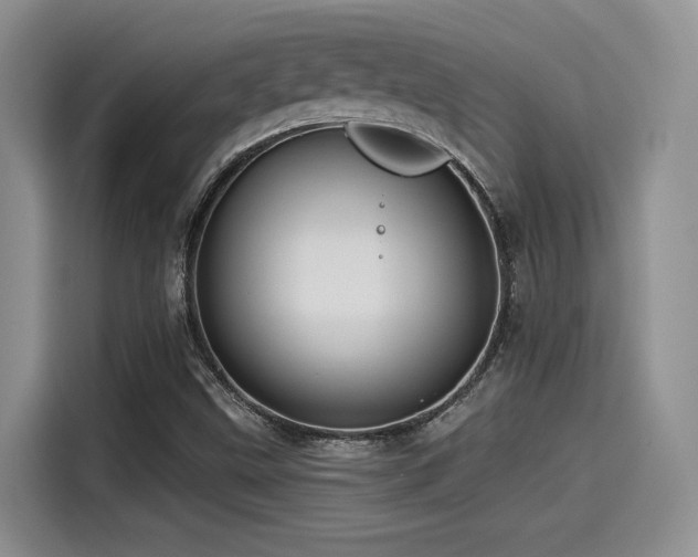 X0000115551499200911061522