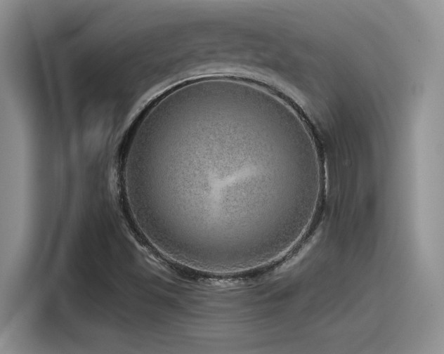 X0000115551501200911061522
