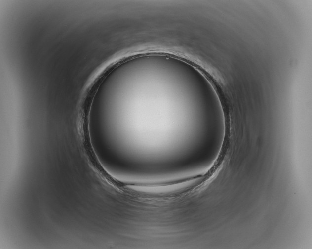 X0000115551502200911061522