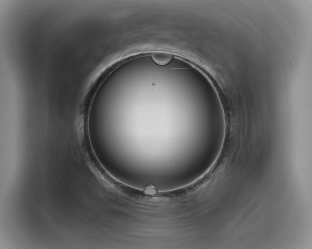 X0000115551503200911061522