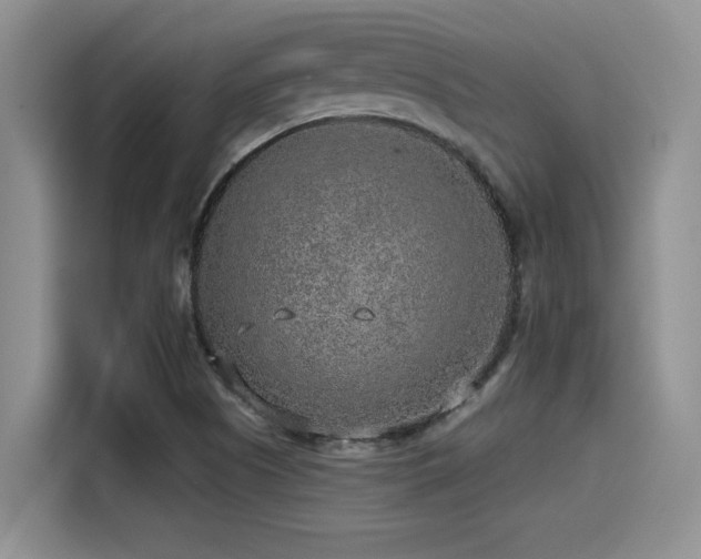 X0000115551505200911061522