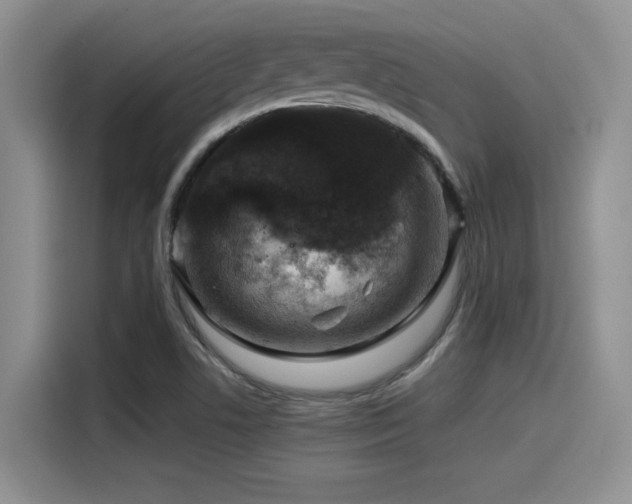 X0000115551506200911061522