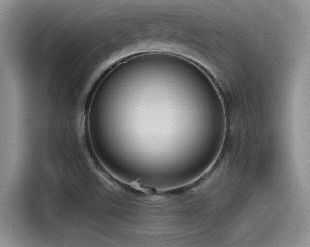 X0000115551507200911061522