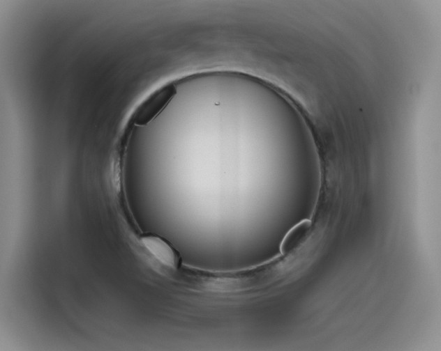 X0000115551510200911061522