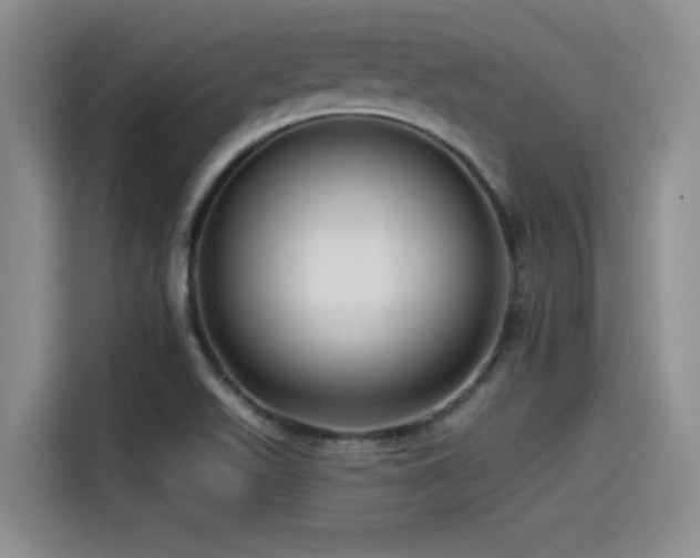 X0000115551511200911061522