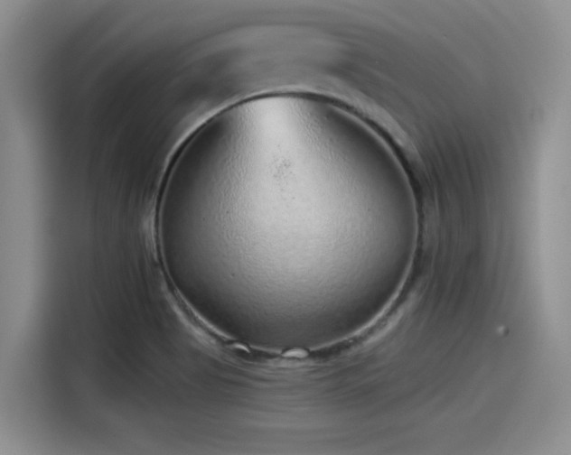 X0000115551513200911061522