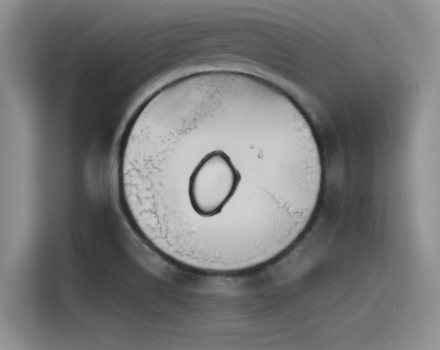 X0000115551514200911061522