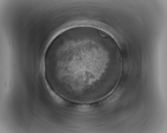 X0000115551515200911061522