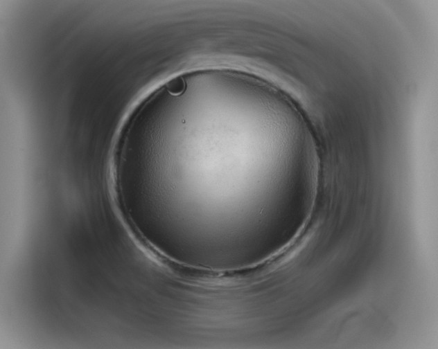 X0000115551517200911061522