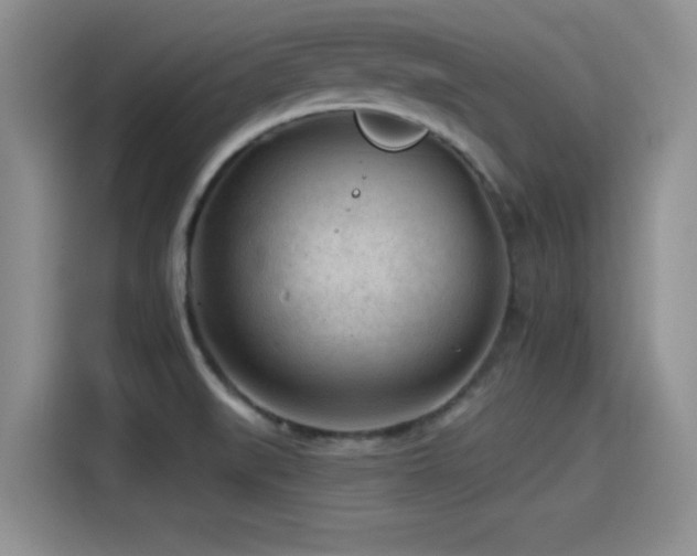 X0000115551519200911061522