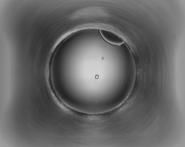 X0000115551523200911061523