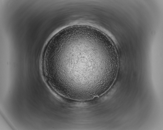 X0000115551525200911061523