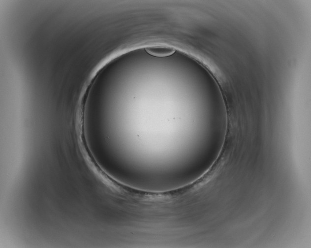 X0000115551526200911061523