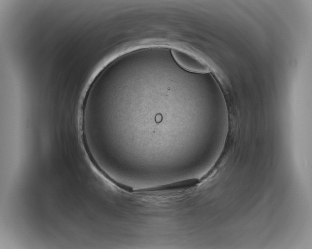 X0000115551527200911061523