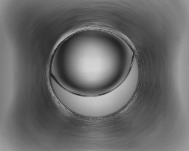 X0000115551530200911061523